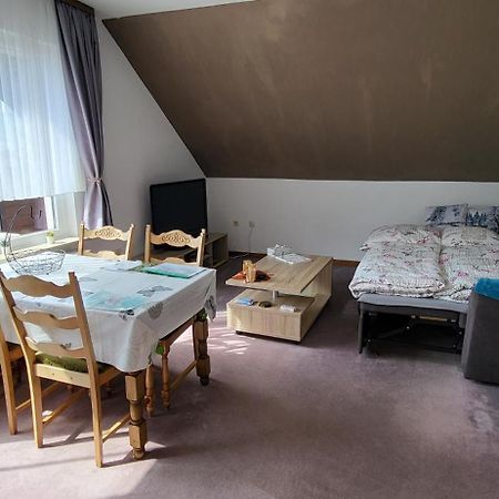 Апартаменты Haus Rehblick 2, Wg 4 Санкт-Андреасберг Экстерьер фото